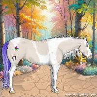 Horse Color:Watercolor Amber Cream Champagne Dun Splash Tobiano 