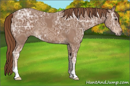 Horse Color:Chestnut Ice 