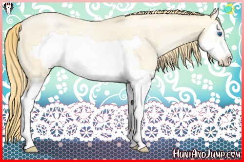 Horse Color:Buckskin Pearl Dun Splash Frame