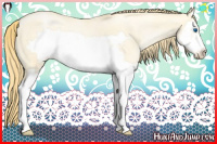 Horse Color:Buckskin Pearl Dun Splash Frame 