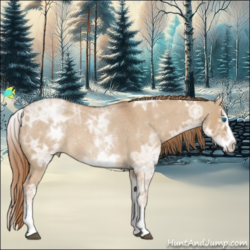 Horse Color:White Spotted Red Dun Ice Roan Splash