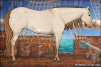 Horse Color:Red Dun Roan Frame 