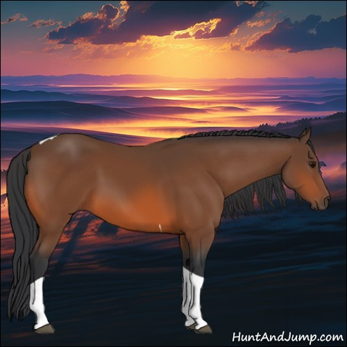 Horse Color:Bay Tobiano 