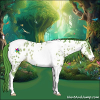 Horse Color:Watercolor Amber Champagne Sabino Tobiano Near Leopard 