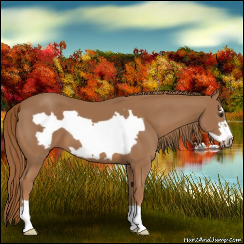 Horse Color:Chestnut Frame 