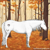 Horse Color:Silver Amber Cream Champagne Roan Dun Splash Blanket Rabicano 