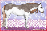 Horse Color:Liver Red Roan Splash Frame 