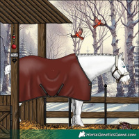 Horse Color:Cremello Dun 