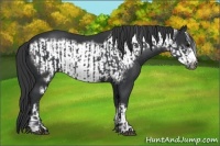 Horse Color:Black  and Black Frame 