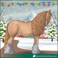 Horse Color:Gold Champagne Splash 