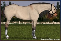 Horse Color:Bay Dun  and Bay Dun 