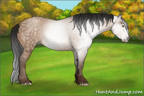 Horse Color:Gray Amber Champagne 