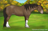 Horse Color:Gray Classic Champagne