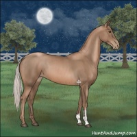 Horse Color:Silver Black Pearl  and Silver Black Pearl 