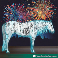 Horse Color:Thunderstruck Black  and Gray Black 