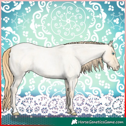 Horse Color:Buckskin Roan Pearl  and Buckskin Roan Pearl 