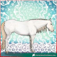 Horse Color:Buckskin Roan Pearl  and Buckskin Roan Pearl 