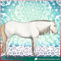 Horse Color:Buckskin Roan Pearl  and Buckskin Roan Pearl 