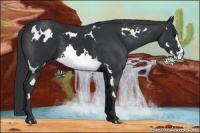 Horse Color:White Spotted Black Frame 