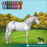 Horse Color:Midnight Chocolate Silver Smoky Creme Chinchilla Dun Appaloosa