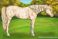 Horse Color:Buckskin Roan Pearl  and Buckskin Roan Pearl 