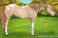 Horse Color:Red Roan Pearl Tobiano Frame