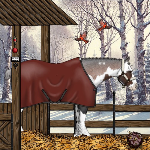 Horse Color:Brown Sabino Splash Appaloosa  and Brown Sabino Splash Appaloosa 