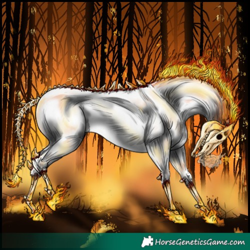 Horse Color:Gray Silver Sable Cream Champagne Roan Dun Splash Tobiano Frame Appaloosa Rabicano