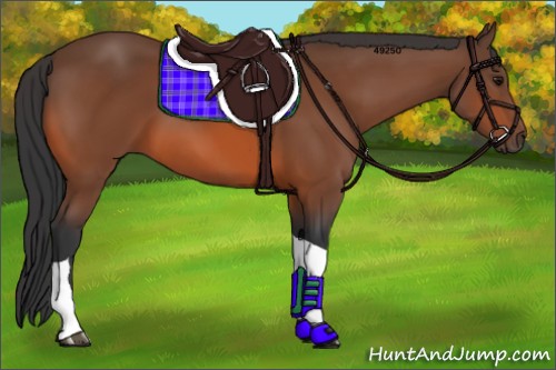 Horse Color:Bay Tobiano