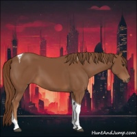 Horse Color:Chestnut Tobiano