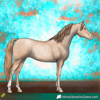 Horse Color:Gold Champagne Pearl Rabicano and Gold Champagne Pearl Rabicano