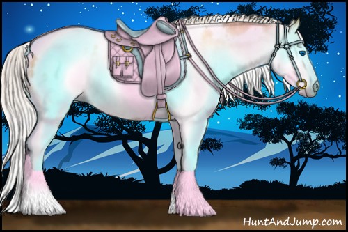 Horse Color:Gray Silver Amber Cream Champagne Roan Dun Splash Tobiano Frame Appaloosa Rabicano