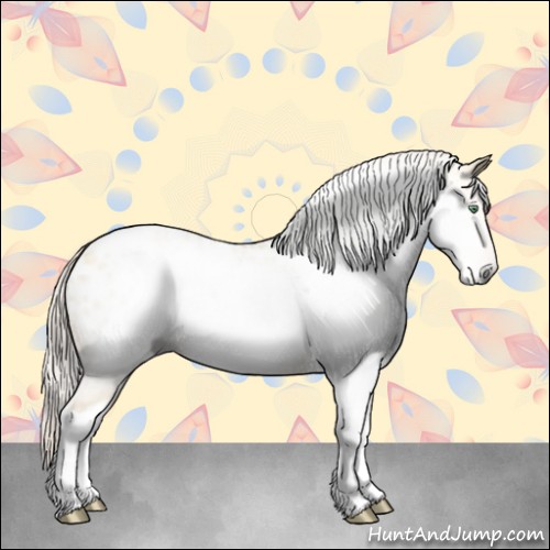 Horse Color:Gray Silver Amber Cream Champagne Roan Dun Splash Tobiano Frame Appaloosa Rabicano 