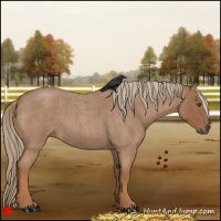 Horse Color:Red Roan 