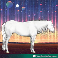 Horse Color:Silver Perlino Dun 