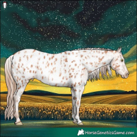 Horse Color:Gold Champagne Near Leopard  and Gold Champagne Blanket 