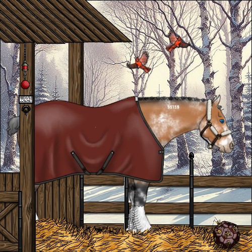 Horse Color:White Spotted Bay Sabino Frame 