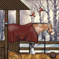 Horse Color:White Spotted Bay Sabino Frame 