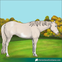 Horse Color:White Spotted Smoky Creme Sabino Frame 