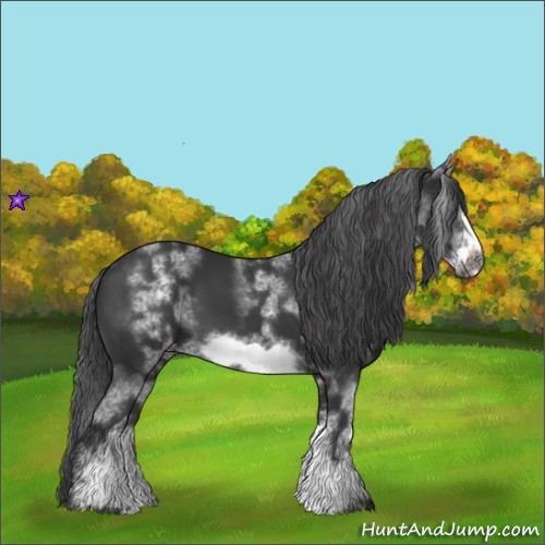 Horse Color:White Spotted Black Sabino Frame 