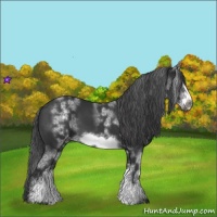 Horse Color:White Spotted Black Sabino Frame 