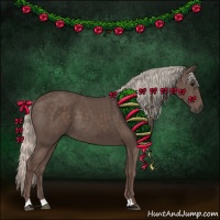 Horse Color:Silver Black 