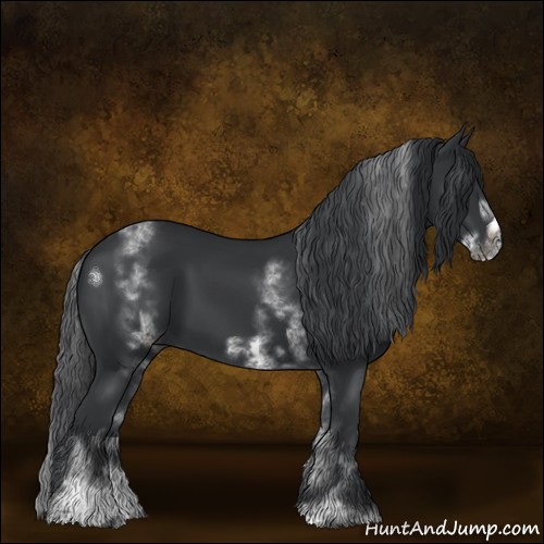 Horse Color:White Spotted Black Sabino Frame