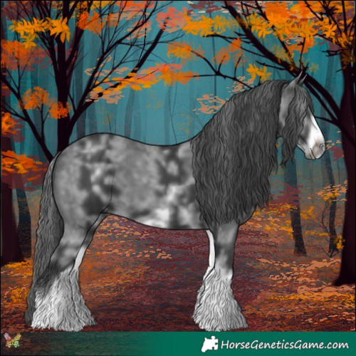Horse Color:White Spotted Black Sabino Frame