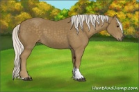 Horse Color:Silver Smoky Black Tobiano 