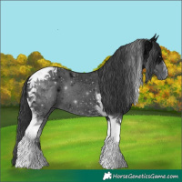 Horse Color:Black Ice Tobiano 