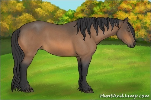 Horse Color:Buckskin Roan Sabino 