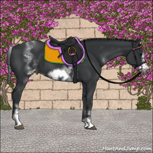 Horse Color:White Spotted Black Sabino Frame
