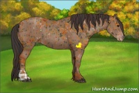 Horse Color:Black and Classic Champagne