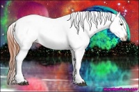 Horse Color:Bay Dun Appaloosa 